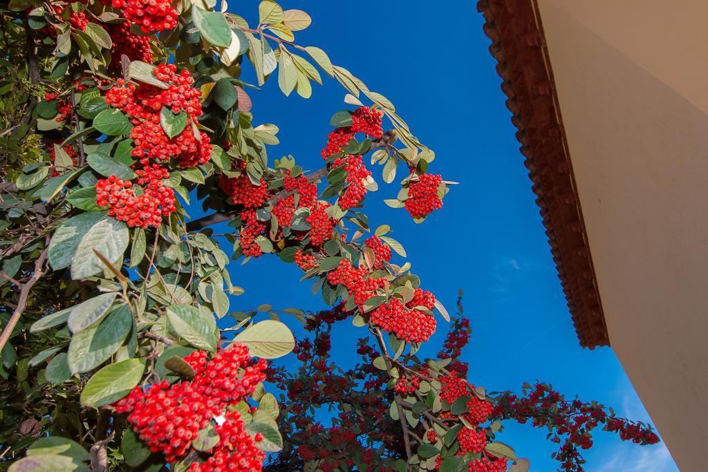 Vila Tu Casa En Barcelona Sant Cugat del Vallès Pokoj fotografie